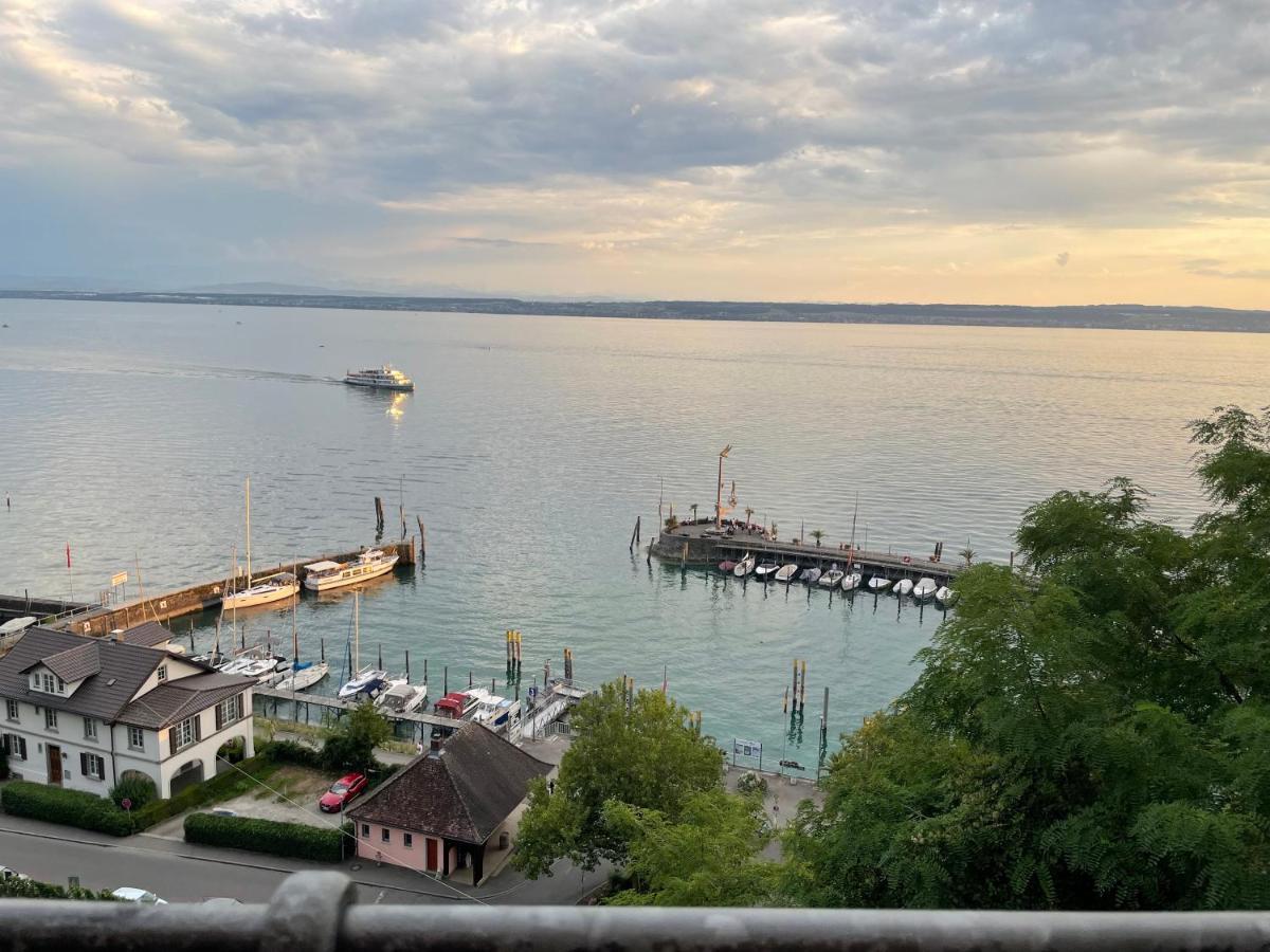 Urban - Ahorn -- Meersburg
